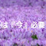 塾は『今』必要？
