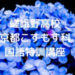 嵯峨野高校・京都こすもす科 国語特訓講座