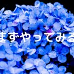 まずやってみる