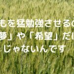 子どもを猛勉強させるのは「夢」や「希望」だけじゃないんです
