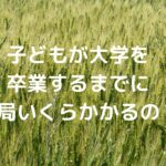 子どもが大学を卒業するまでに結局いくらかかるの？