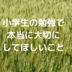 小学生の勉強で、本当に大切にしてほしいこと