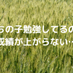 【うちの子、勉強してるのに成績が上がらない…】それ、実は「あるある」な勘違いかもしれません